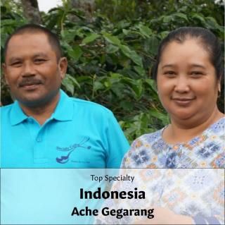 Top Specialtyեɥͥ  濼