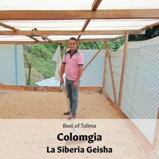 AWARD WINNERեӥ  ٥ꥢ 