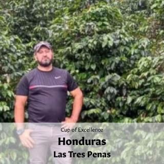 AWARD WINNERեۥ󥸥饹 ȥ쥹 ڥ˥㥹 ѥ