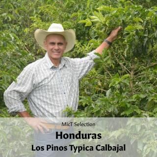 SELECTIONեۥ󥸥饹  ԥ˥㥹 ƥԥ Хϥ