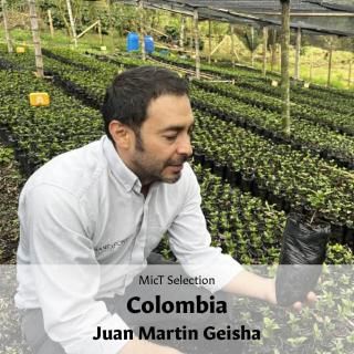 SELECTIONեӥ եޥƥ 