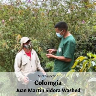 SELECTIONեӥ ե󡦥ޥƥ ɥ åɡ