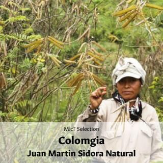 SELECTIONեӥ ե󡦥ޥƥ ɥ ʥ