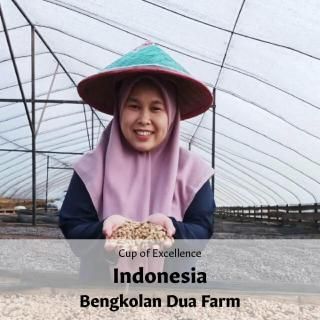 AWARD WINNERեɥͥ٥󥳡 ǥ奢 ɥ饤ϥ