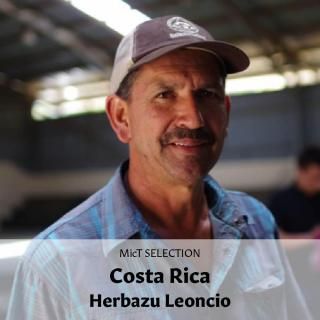 SELECTIONեꥫХ롦쥪󥷥 ӥ㥵 ֥åϥˡ