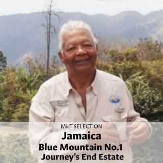 SELECTIONեޥ֥롼ޥƥNo.1 㡼ˡɡ