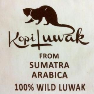 SELECTIONեɥͥ ԥå 磻ɡ