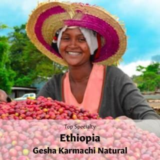 Top Specialty  ԥ  ޥ ʥ