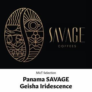 SELECTIONեѥʥ   ǥ󥹡