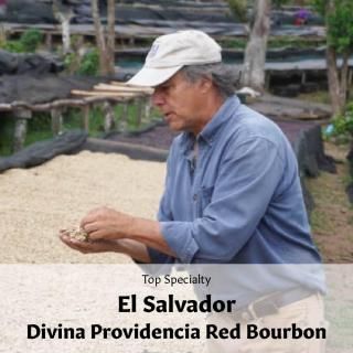 Top Specialtyե륵Хɥ ǥӥʡץǥ󥷥 åɥ֥ܥ