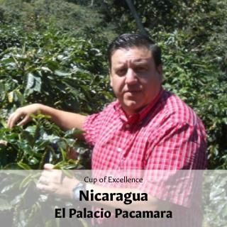 AWARD WINNERե˥饰 롦ѥ饷 ѥޥ