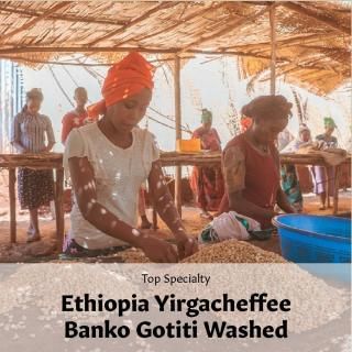 Top Specialtyեԥ 륬ե Х ƥƥ