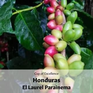 AWARD WINNERեۥ󥸥饹 롦饦 ѥ饤ͥޡ