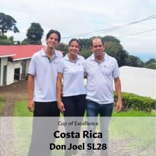 AWARD WINNERեꥫ ɥ󡦥ۥ SL28