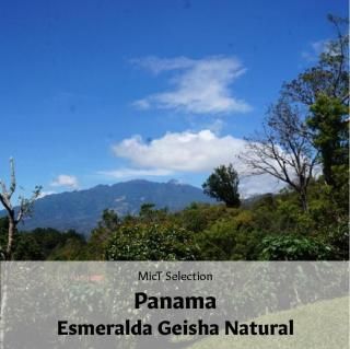 SELECTIONեѥʥ   ʥ