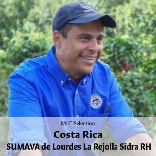 SELECTIONեꥫ ޥ 顦ۡ ɥ åɥϥˡ