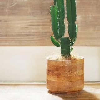 �ѥ���ݥåȥ��С���M