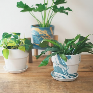 �����Х�ץ��ĥݥåȡ�4��