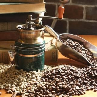 DULTON��Coffee mill "TERRA"/����ȥ� �����ҡ��ߥ�ƥ�