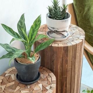 �����Х�ץ��ĥݥåȡ�6��