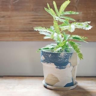 �����Х�ץ��ĥݥåȡ�5��