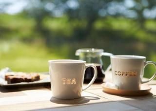 TAMAKI Ʃ�����ޥ����å�/���ޥ�