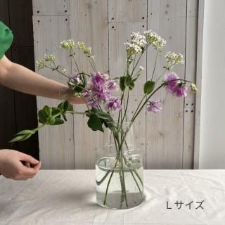 ���������Ƴ褱�䤹�� ��塼�����饹 �ե��١�������������L