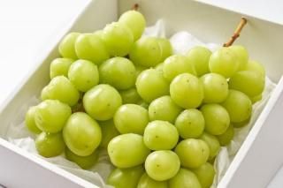㥤ޥå2˼1kg