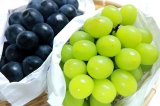 㥤ޥåȡߥޥåȥΥ2˼1kg