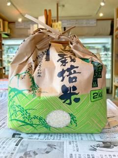 <img class='new_mark_img1' src='https://img.shop-pro.jp/img/new/icons13.gif' style='border:none;display:inline;margin:0px;padding:0px;width:auto;' />Ϥ2