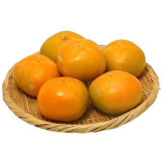 <img class='new_mark_img1' src='https://img.shop-pro.jp/img/new/icons13.gif' style='border:none;display:inline;margin:0px;padding:0px;width:auto;' />ͤʤ1