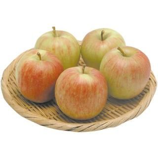 <img class='new_mark_img1' src='https://img.shop-pro.jp/img/new/icons13.gif' style='border:none;display:inline;margin:0px;padding:0px;width:auto;' />󤴡Ĥ롡1