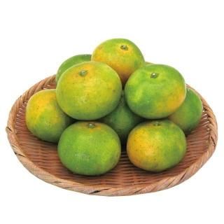 <img class='new_mark_img1' src='https://img.shop-pro.jp/img/new/icons13.gif' style='border:none;display:inline;margin:0px;padding:0px;width:auto;' />ߤ500(5-6)