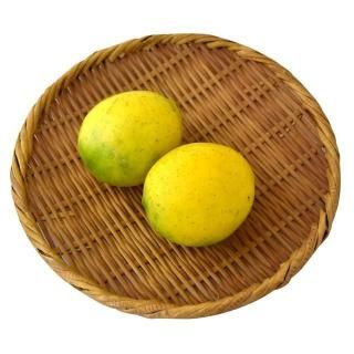 <img class='new_mark_img1' src='https://img.shop-pro.jp/img/new/icons13.gif' style='border:none;display:inline;margin:0px;padding:0px;width:auto;' />1