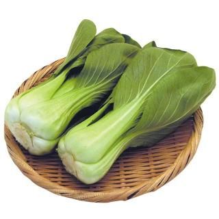 <img class='new_mark_img1' src='https://img.shop-pro.jp/img/new/icons13.gif' style='border:none;display:inline;margin:0px;padding:0px;width:auto;' />󥲥ڡ1«ۡ