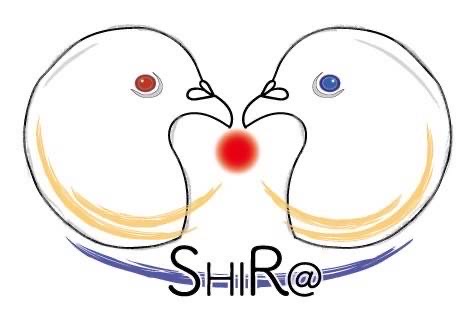 マリエモーン 月隕石『ベシャール006 』証明カード 写真付き 月