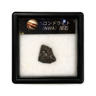 ɥ饤() ץbox [Chondrite]