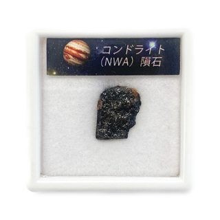 ɥ饤() ץbox [Chondrite]