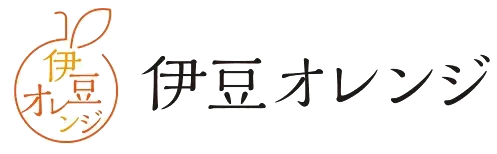 Ʀ󥸡㥤ˡ  ȹˡ ƥ롼ס