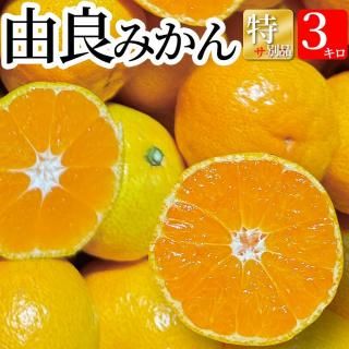 ȯͳɤߤ 3kg̵(̳ƻ770ߡԲ)ۤߤ £ ߤľ