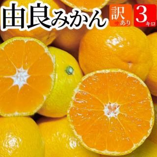 ȯͳɤߤ 3kg̵(̳ƻ770ߡԲ)ۤߤ 櫓 ߤľ