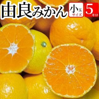 ȯͳɤߤ  5kg̵(̳ƻ770ߡԲ)ۤߤ ߤľ