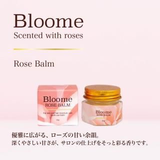 �֥롼�ߡ����������С���