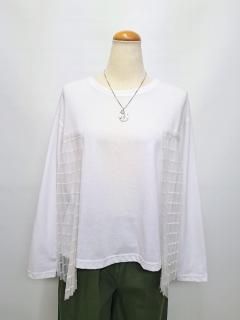 ganoschǥTץ꡼ĥ塼TǤξʲ