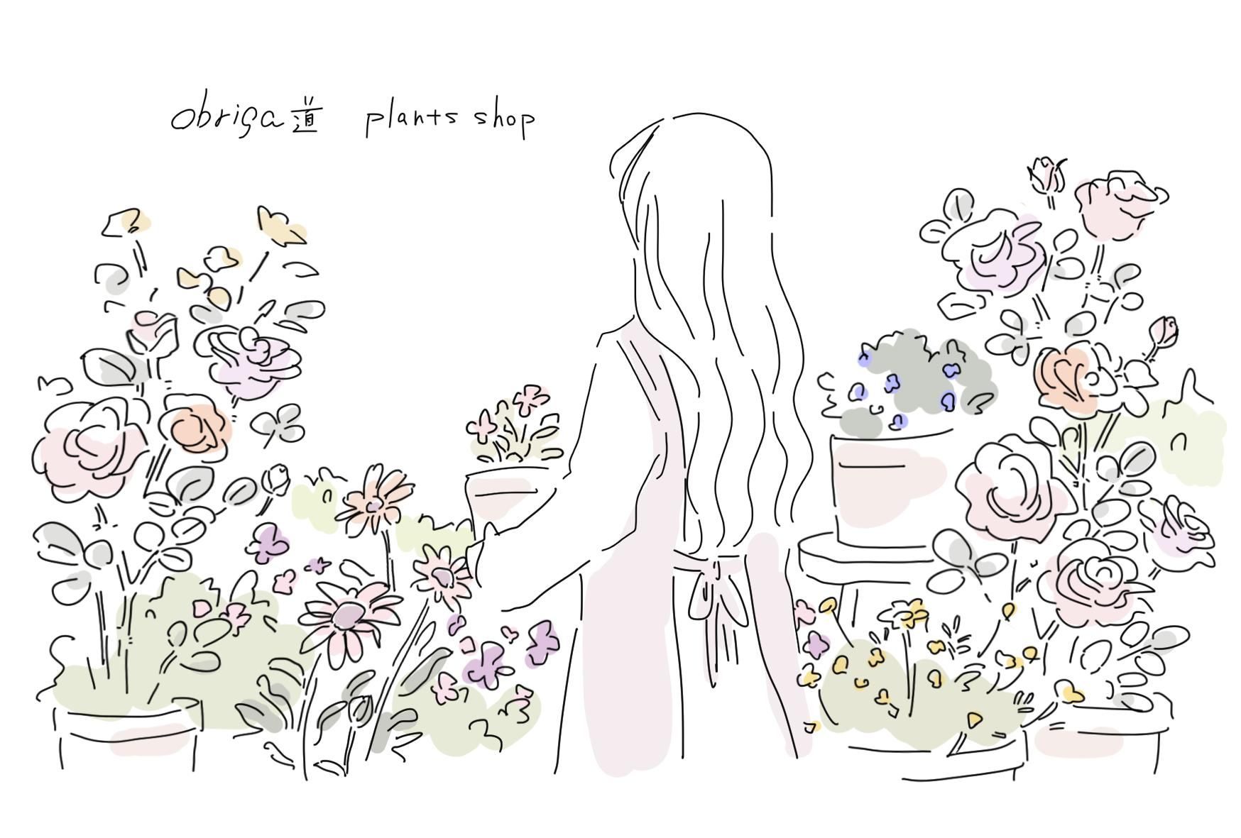 ObrigaƻPlantsShopòġ֤ʤɡšȭ ǥ˥Ź