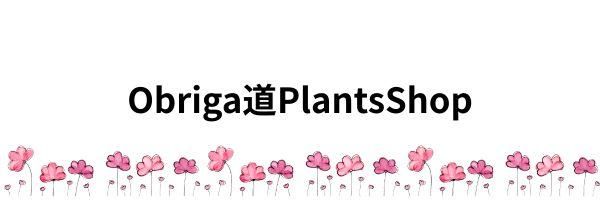 Obriga道PlantsShop