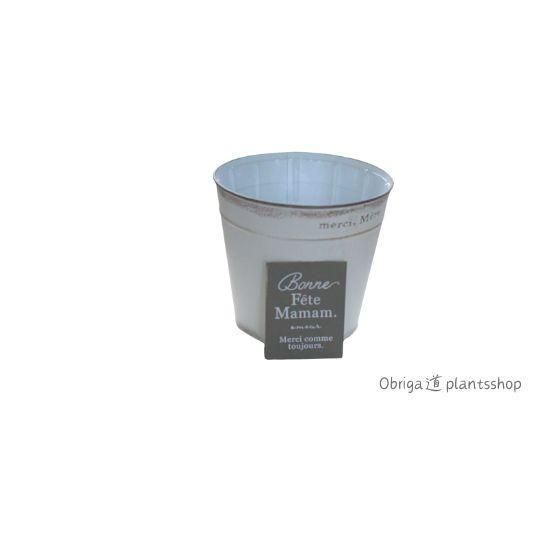 λߡ֥ͧܥ̥ץ졼ȥMWץۥ磻