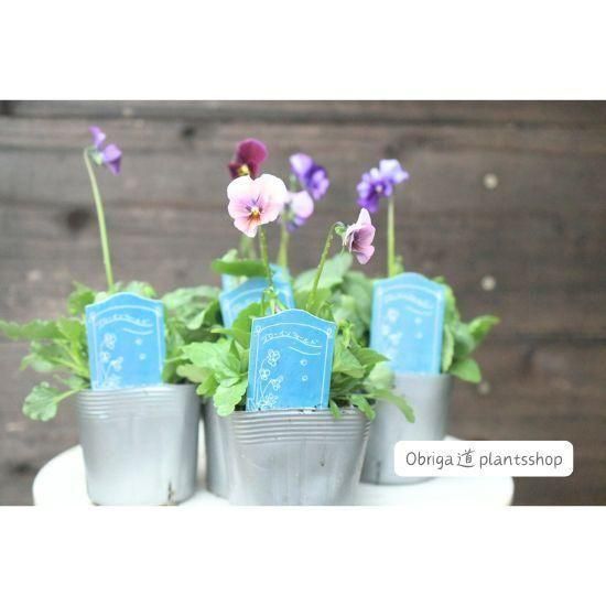 ��¼ζŵ������ӥ���֥֥���