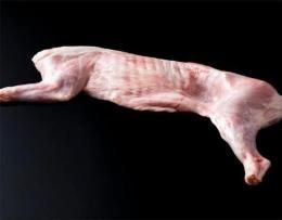 ͡ܥi2508-180H  2989g  2622g