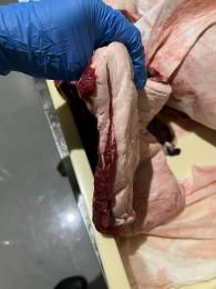 ޥХ顡1045gk2510-07N